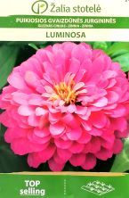 Zinnia Pink Luminosa Seeds